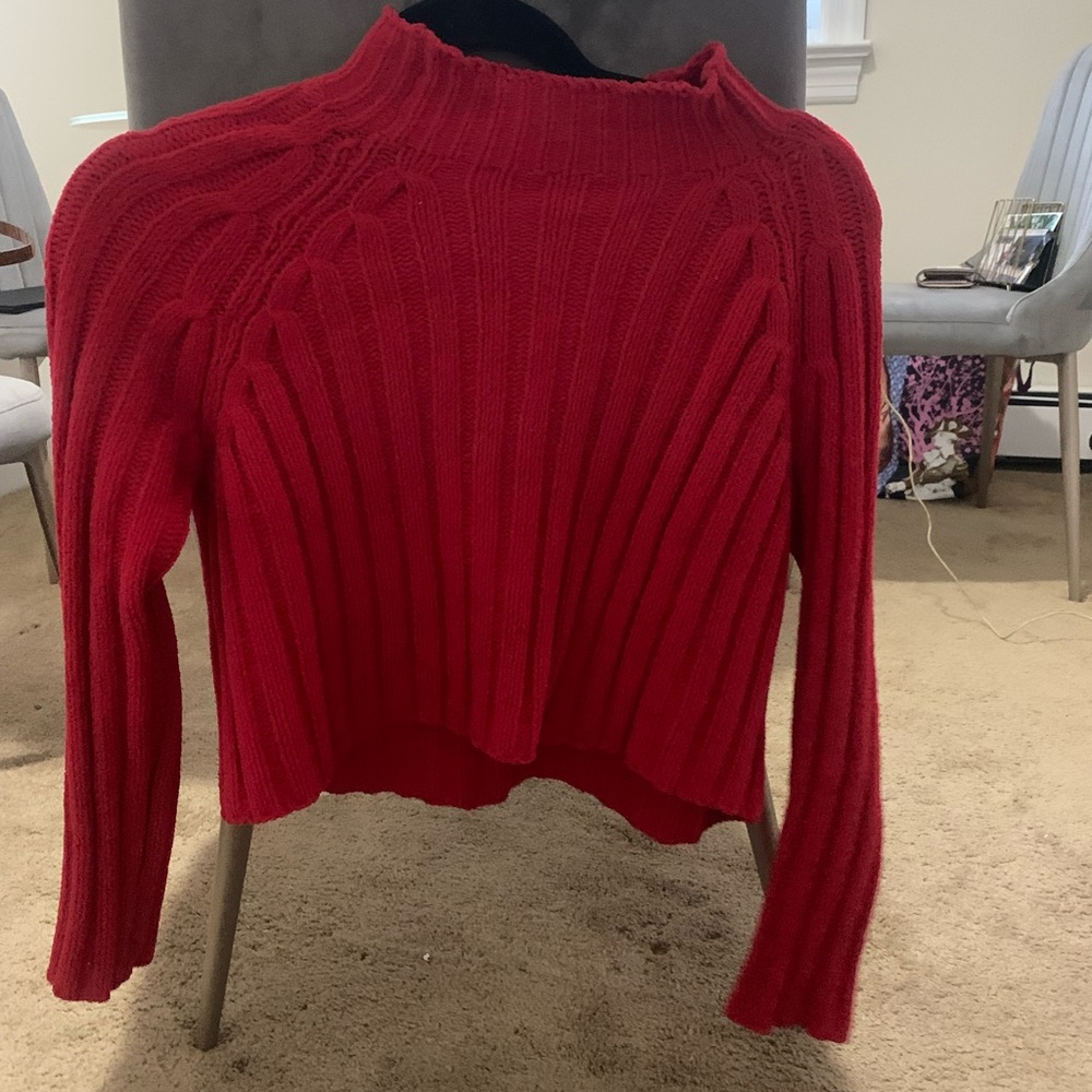 American Eagle Outfitters Red Turtleneck Sweater
